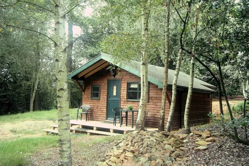 Five Pines - peaceful & secluded woodland cabin in Surrey Hills