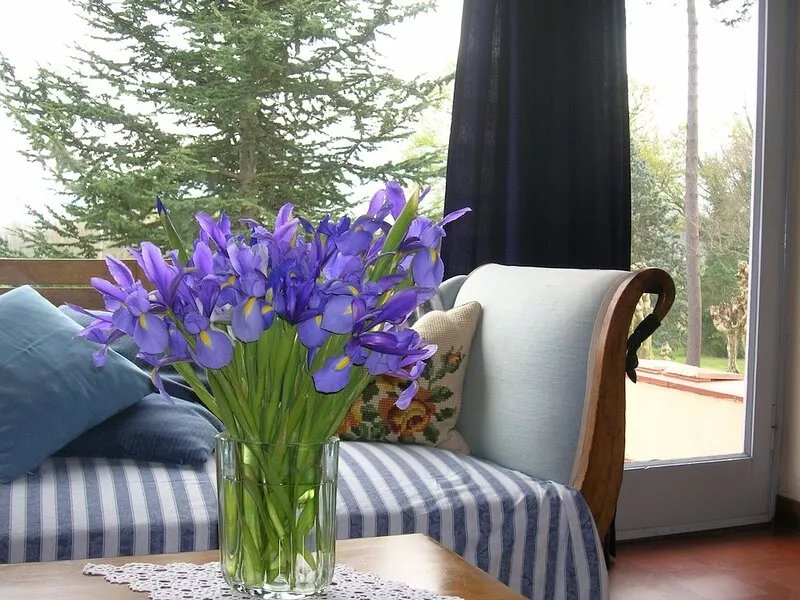 Charming Tuscan villa perfectly located 6km from Lucca and 18 from the