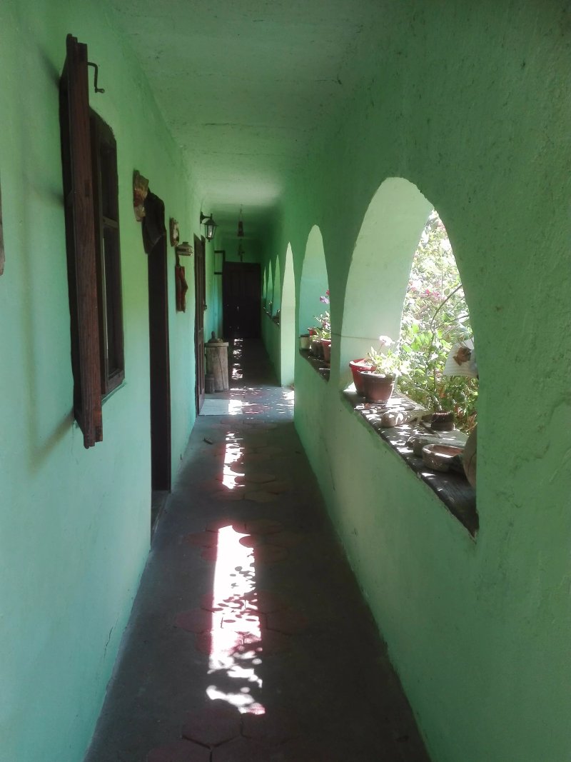 Snasini Kucari