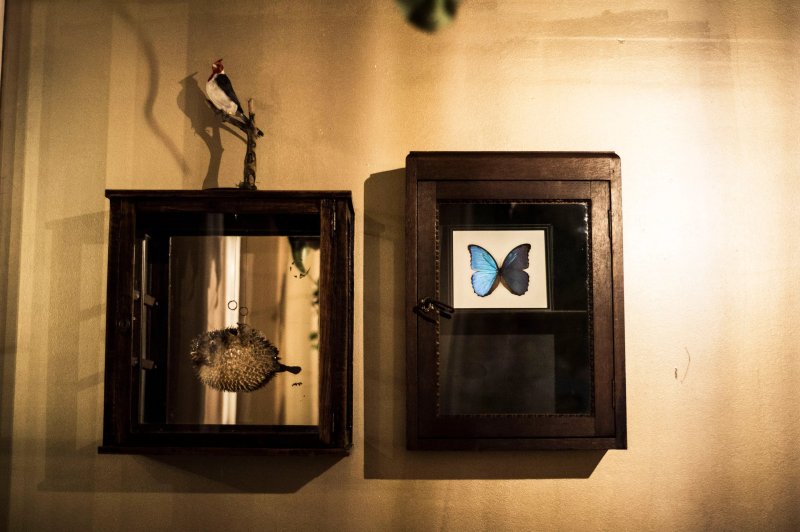 Cafe Wunderkammer