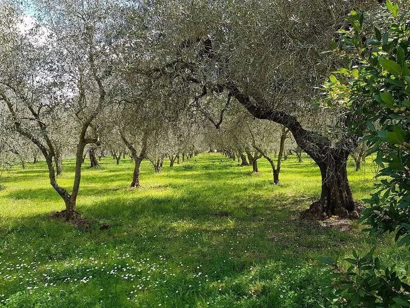 charming completely renovated country house, large garden, secluded location