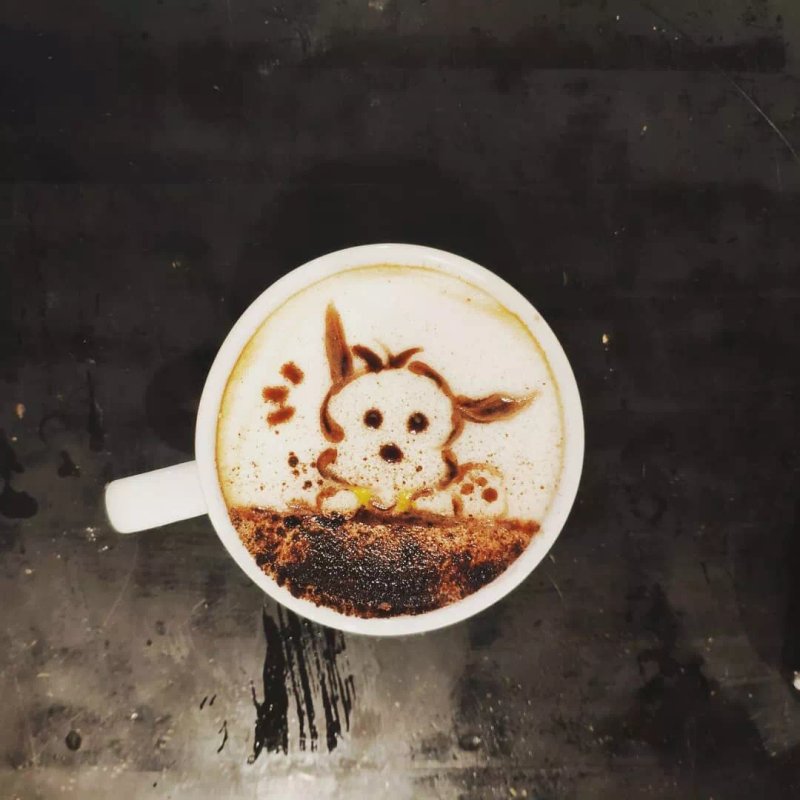 Black Bear coffee bar