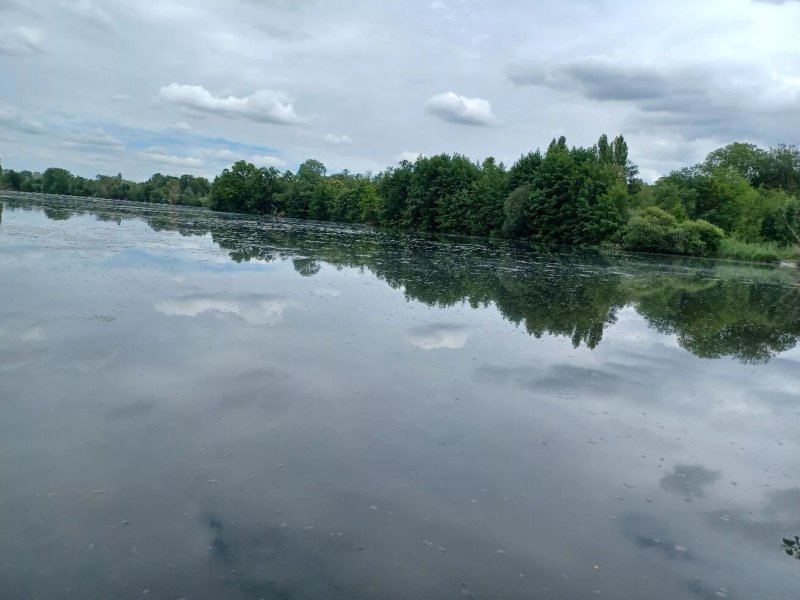 L'Etang Fleuri