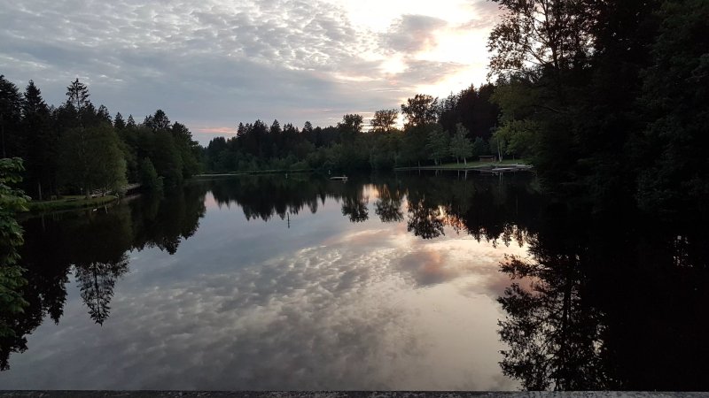 Hotel Waldsee