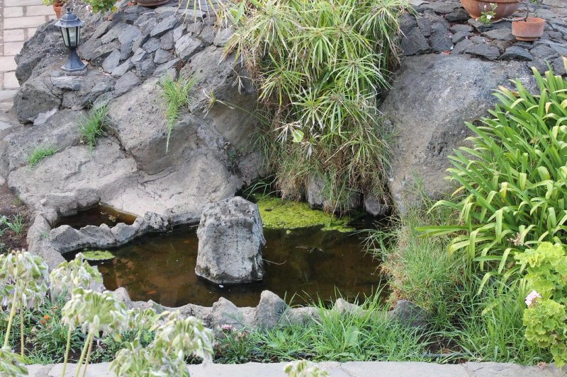 Finca Rural Las Llanadas