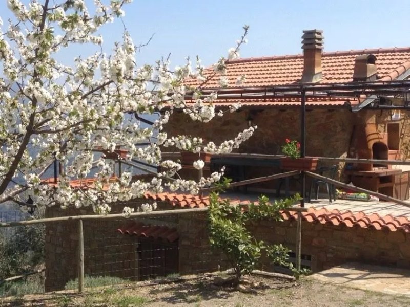 Azienda Agricola Michelina Maiano