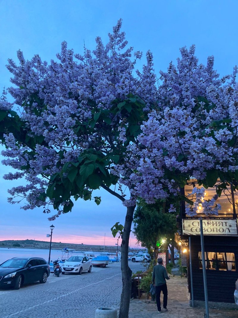 The Old Sozopol Bistro