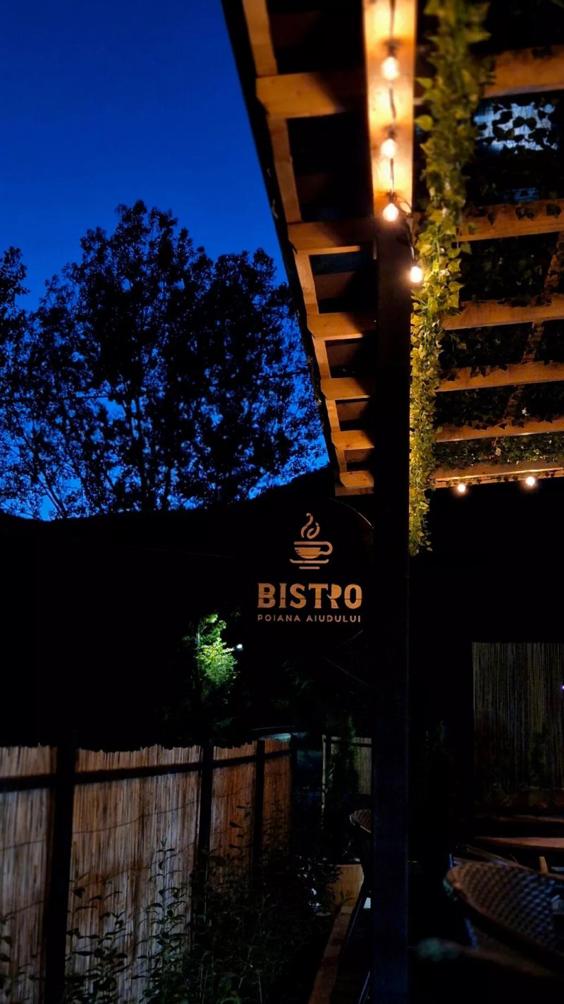 Bistro Poiana Aiudului
