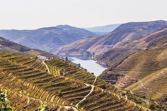 Douro Valley Tours