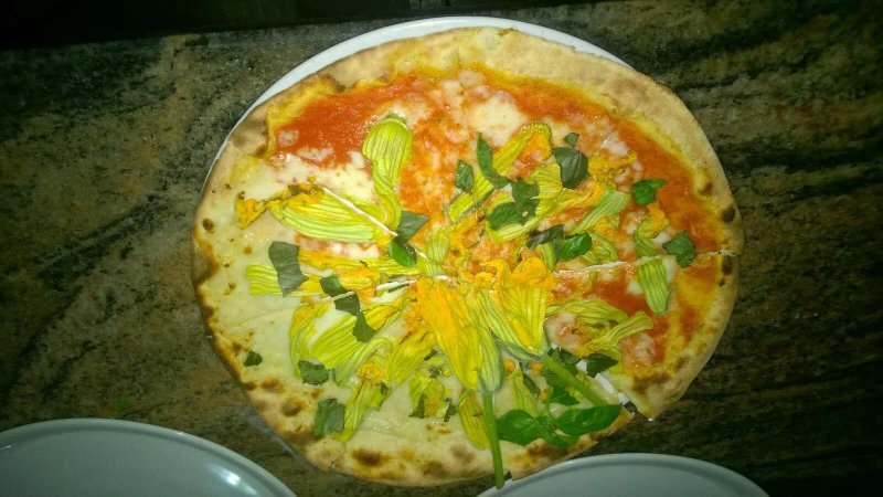 Trattoria Pizzeria la Freccia Gialla