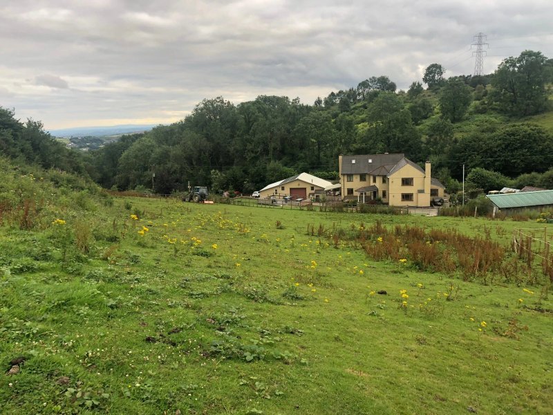 Hope Mountain Bed & Breakfast