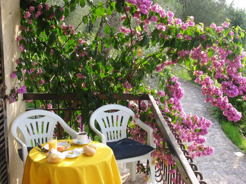 Bed and Breakfast Il Tesolo