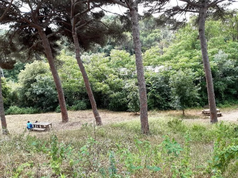 Masia Font del Tort