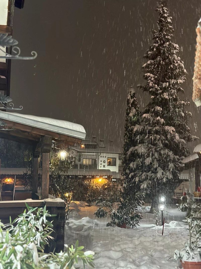 Hotel Dumanov