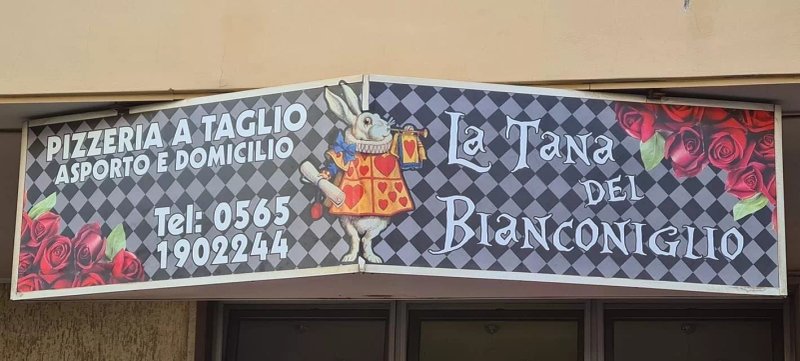 La Tana Del Bianconiglio