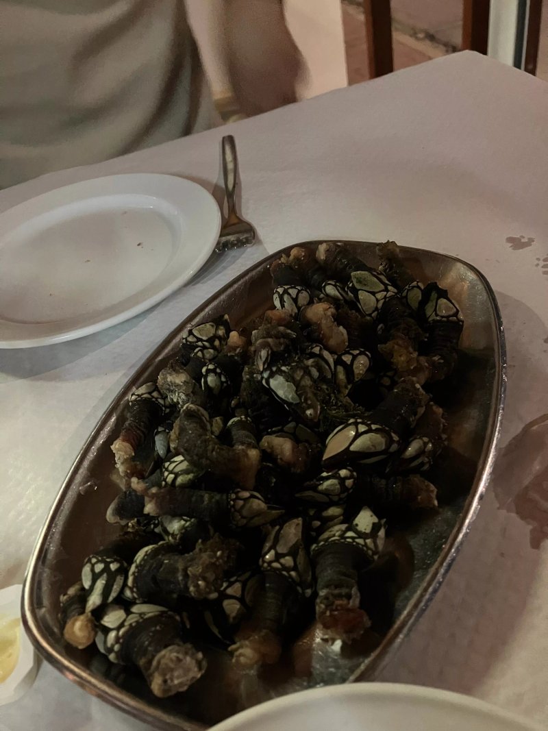 Restaurante Rocamar