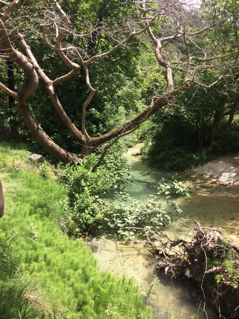 Restaurant Acheron Springs-Markou Ilias