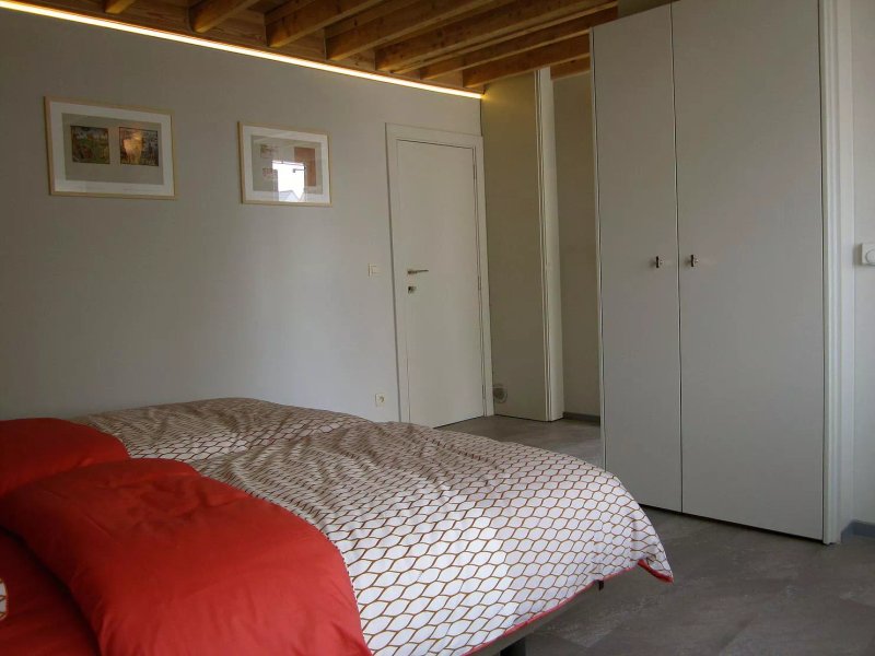 B&B Ridderspoor