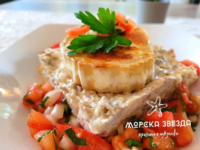 Morska zvezda Sea star