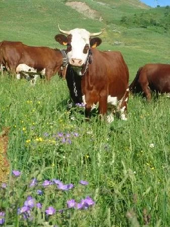 La Ferme du Soleil