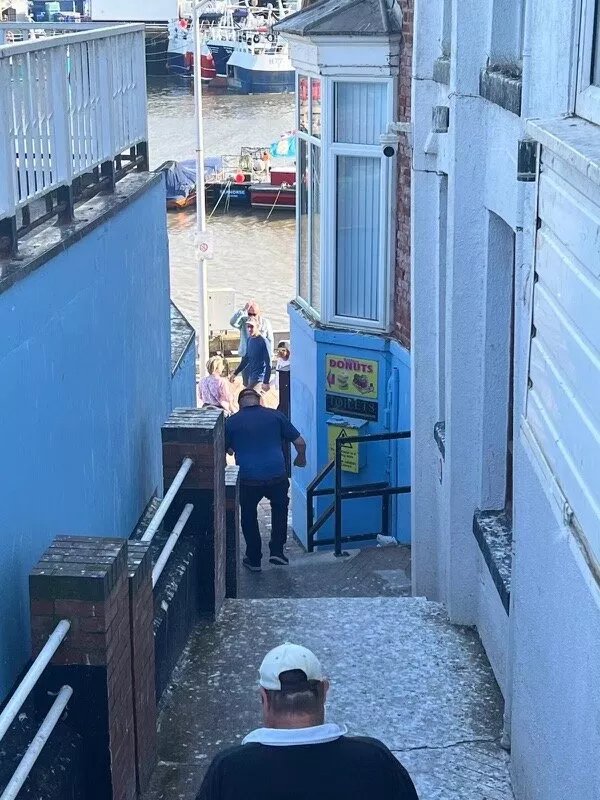 Seagull Alley