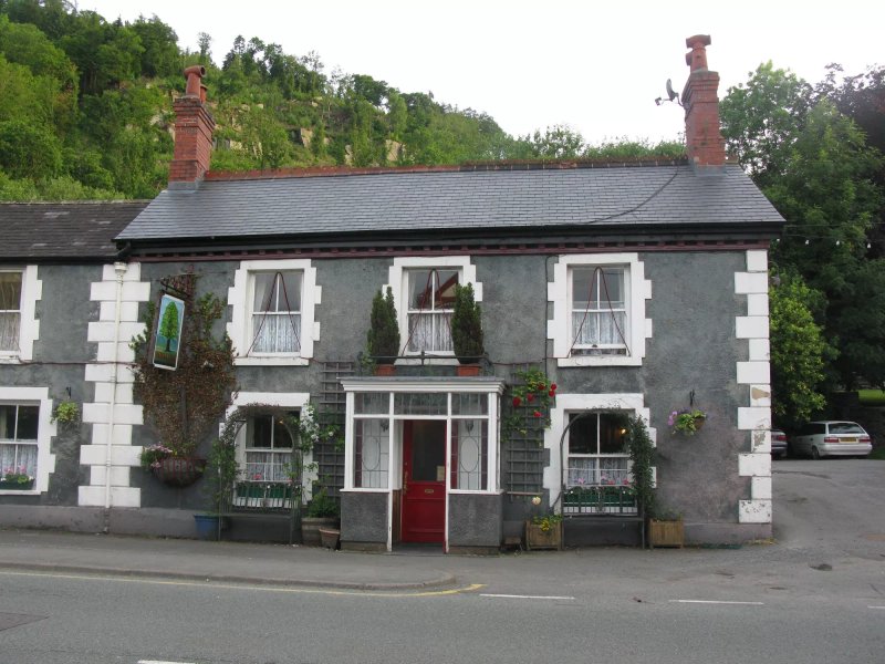 Royal Oak