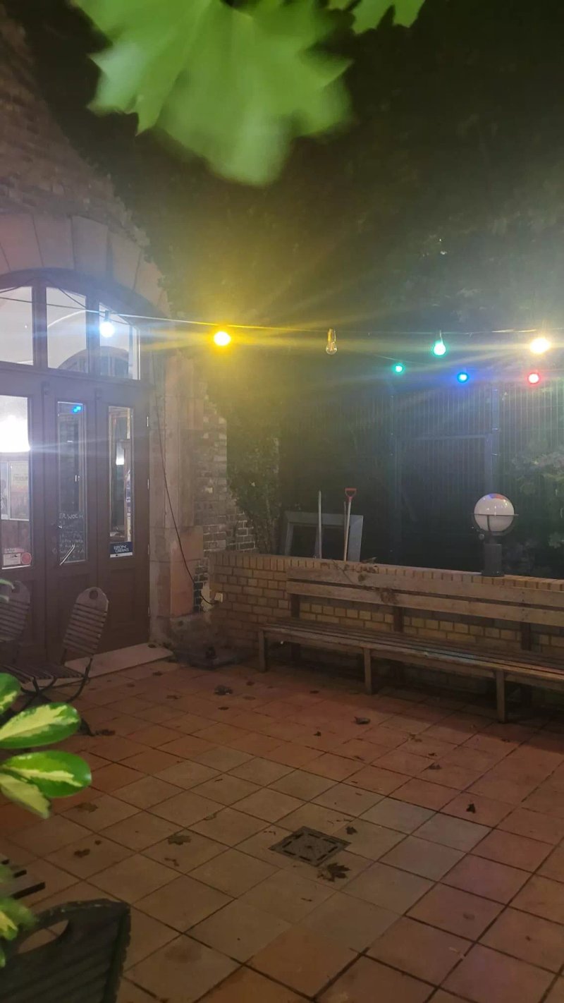 Luchs Kino Halle