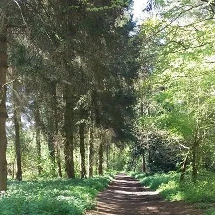 Kings Forest Caravan Park