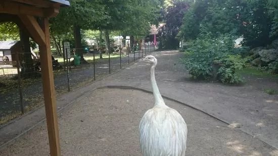 Cafe Tiergarten