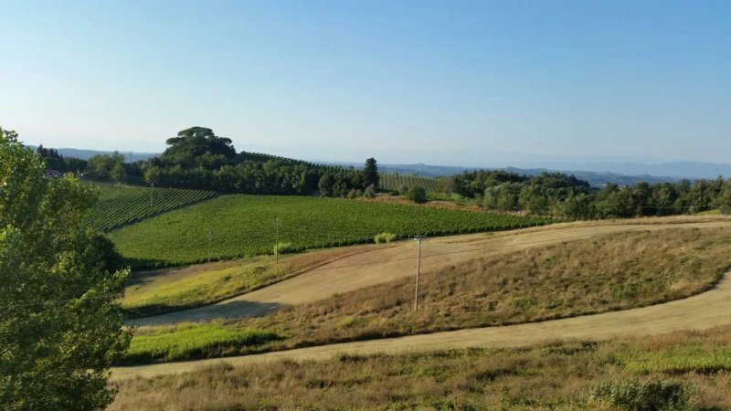 La Casina di Fontirossi Luana