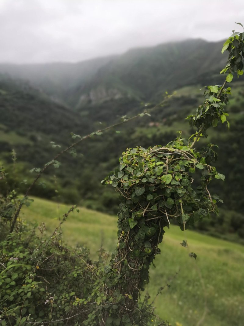 Casa Rural La Llosina