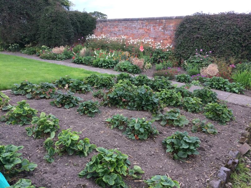 Hordley Hall Bed & Breakfast