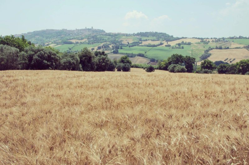 Agriturismo Azzurro