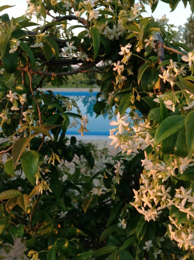 Agriturismo Il Casale delle Rose