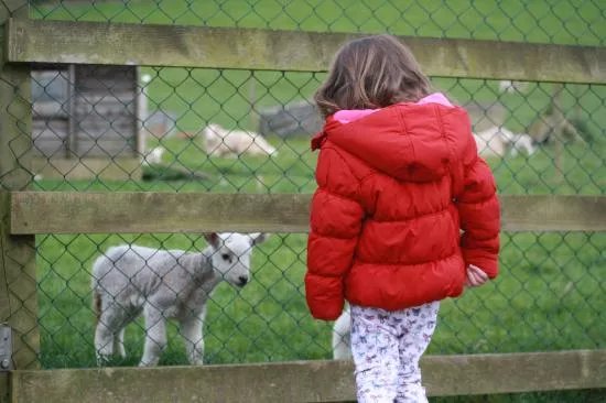 Come to Good Farm