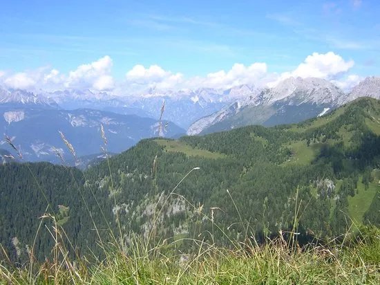 Parco Regionale delle Dolomiti Friulane