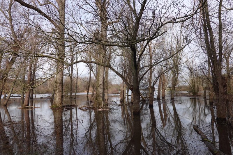 Eijsder Beemden