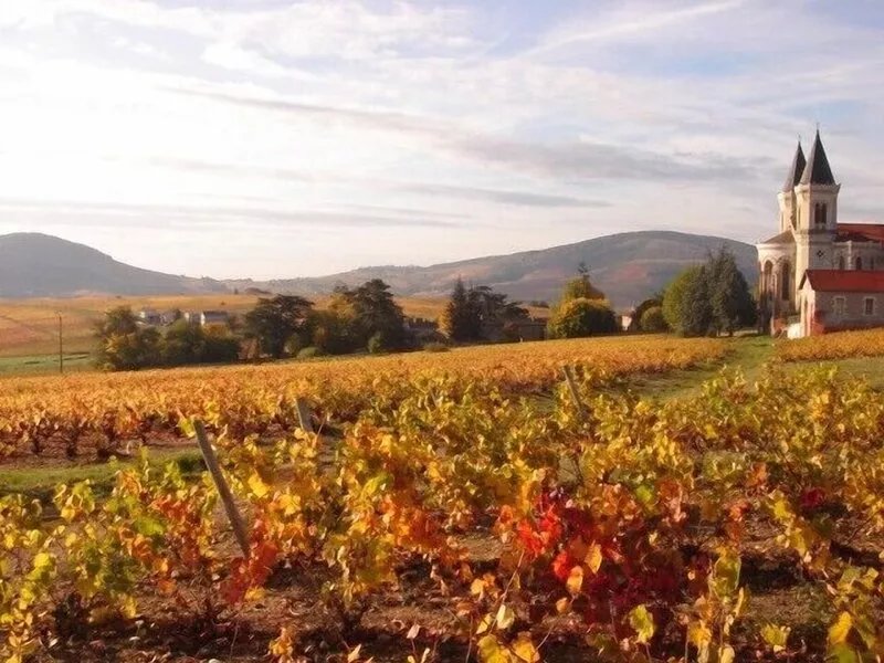 Beautiful winegrower's house in the heart of Beaujolais