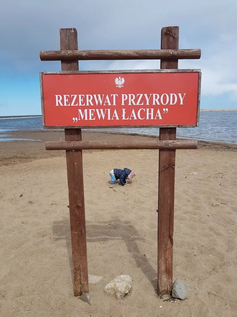 Zorza