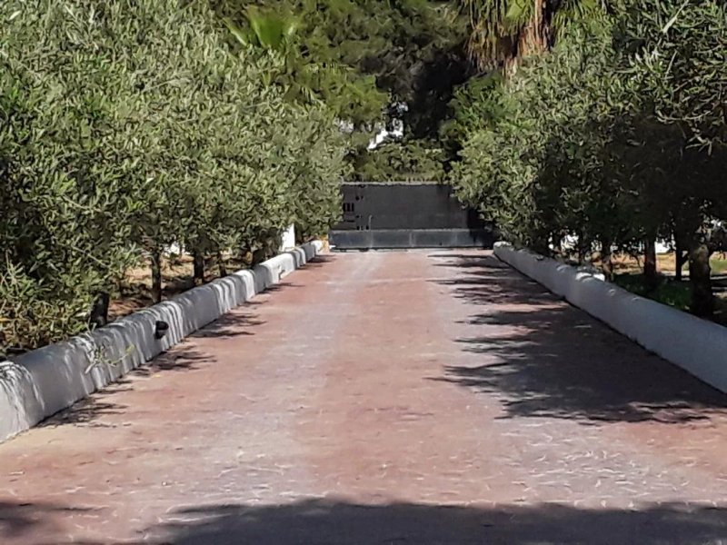 Villa Felisa