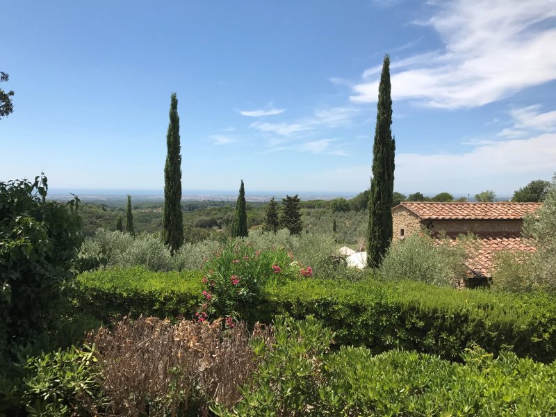 Il Gheppio