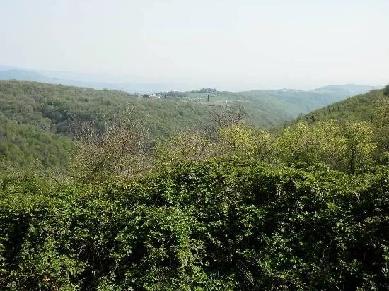 Oasi Vajo Galina