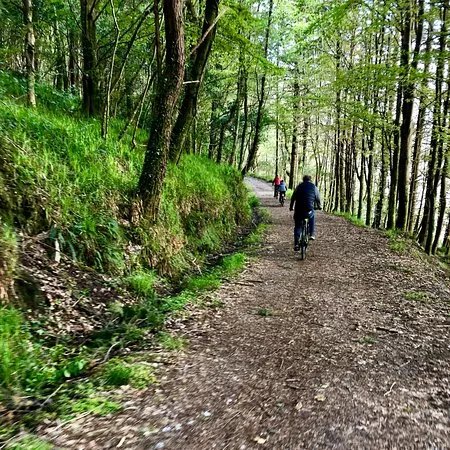 Sidetracked eBike Rental & Tours