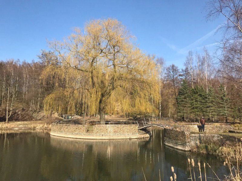 Der Fischmeister