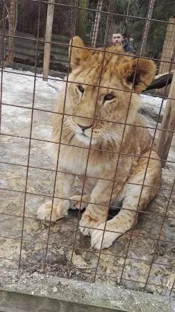 Kontaktni Zoopark