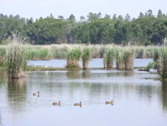 Espaco Interpretativo da Lagoa Pequena