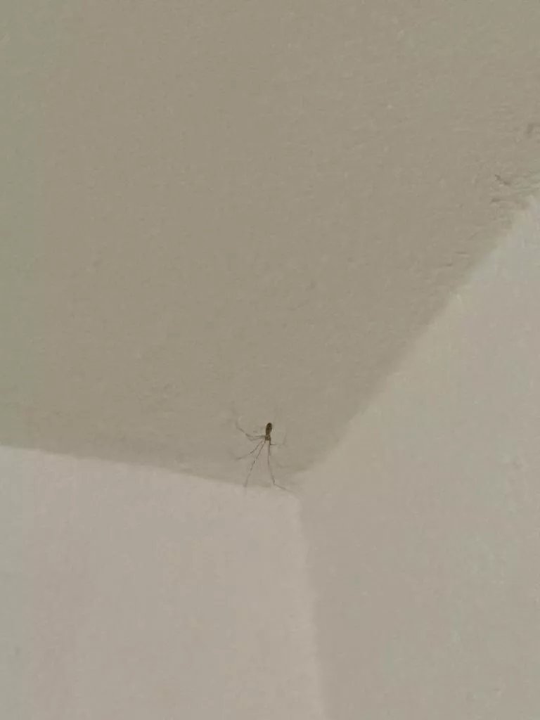 B&B Cascina Baraggione