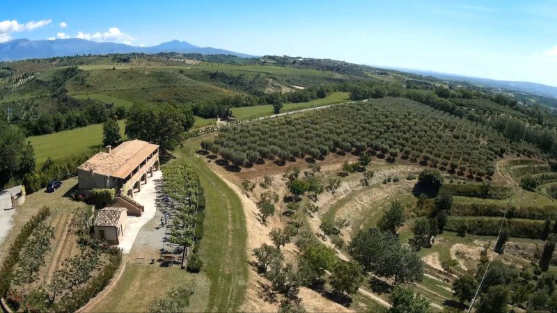 Agriturismo Le Farnie