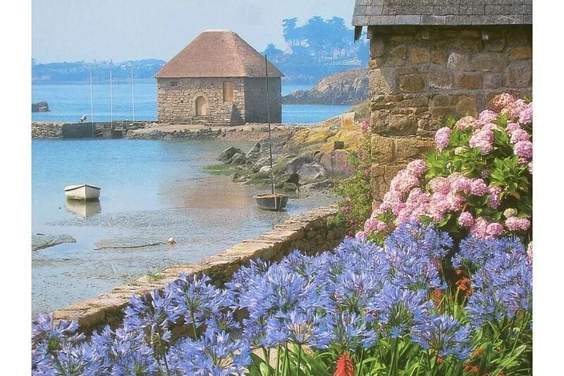 Trégastel, Pink Granite Coast - Apartment SEA ANEMONE***with panoramic sea view