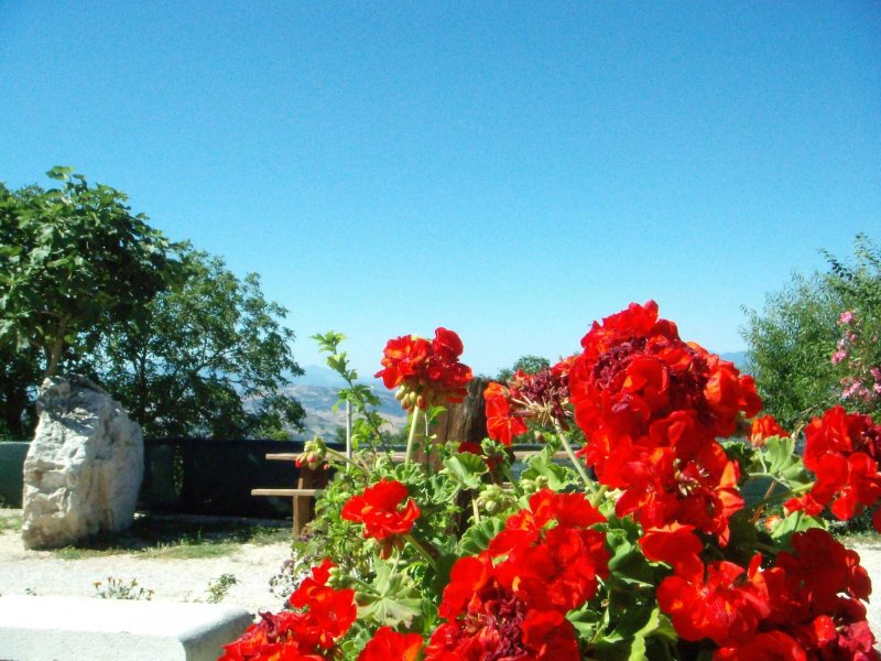 Aia Di Lazzaro - Contry House